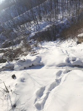 山里雪景