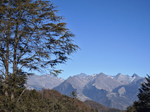 遥望夹金山