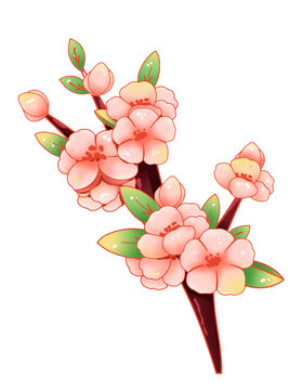 國潮風手繪春天桃花插畫
