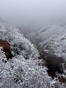 云台山雪景