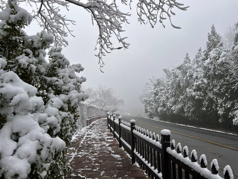 云台山雪景