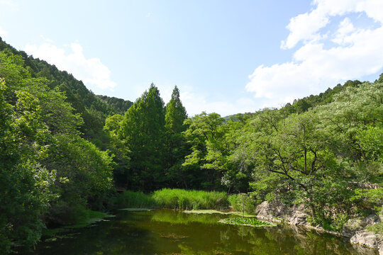 国家植物园樱桃沟