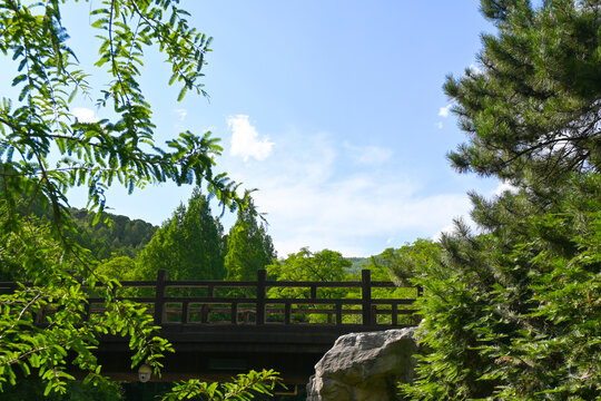 国家植物园樱桃沟