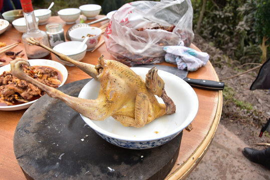 野山鸡