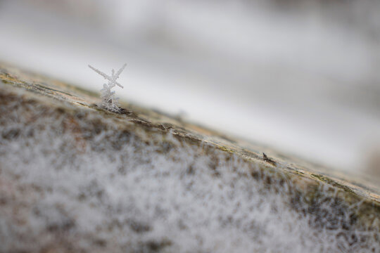 舞动的雪花