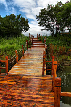 黑瞎子岛湿地公园栈道