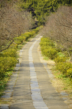 幽静小路