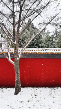 故宫紫禁城雪景