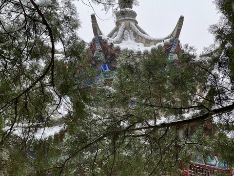 白马寺雪景