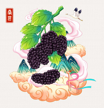 桑葚插画手绘