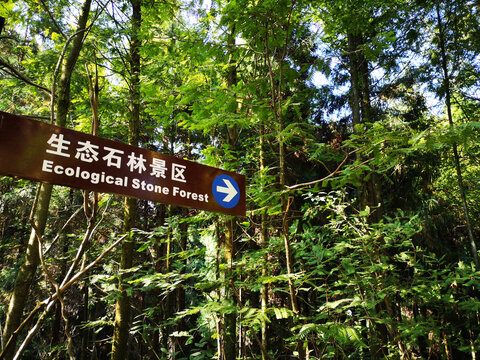 生态石林景区
