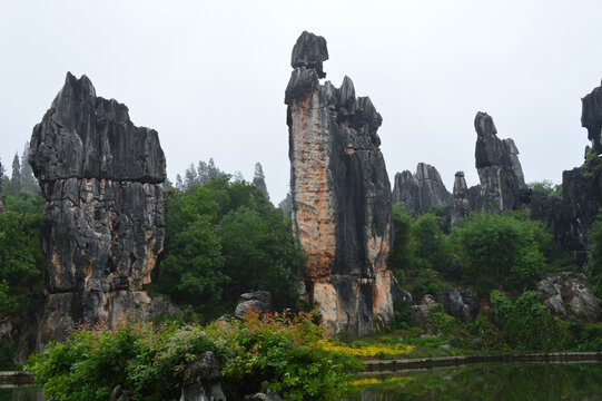 云南石林景区风光