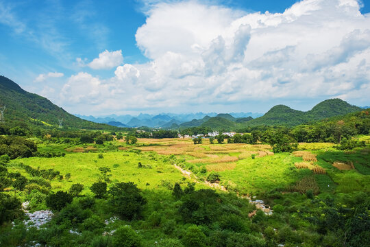 西藏秋天森林公园的美景