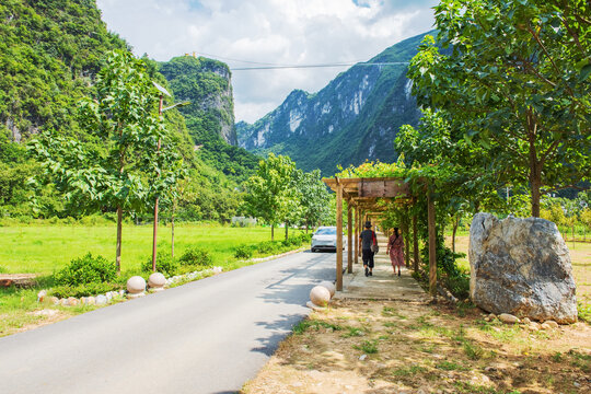 西藏秋天森林和公路美景