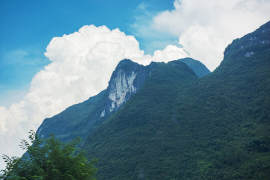 西藏秋天森林公园的美景