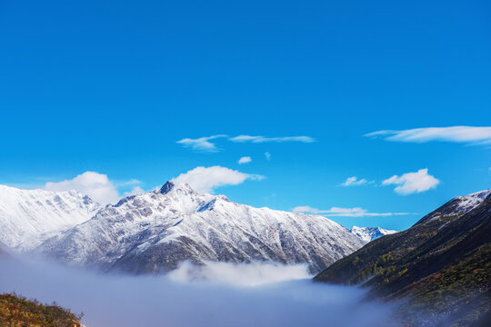 中国西藏格聂神山和云海美景