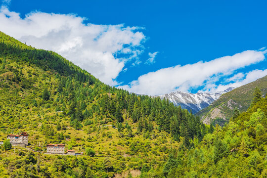 西藏秋天森林公园的美景