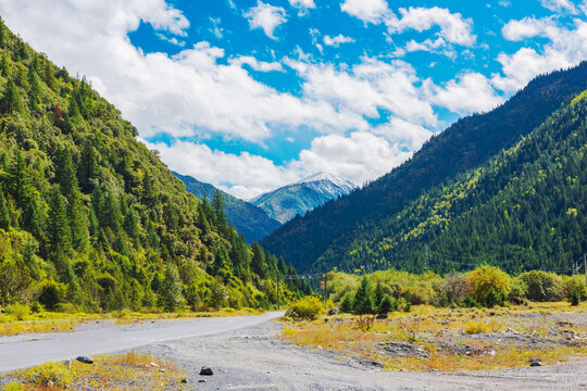 西藏秋天森林和公路美景