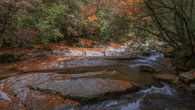 光雾山水