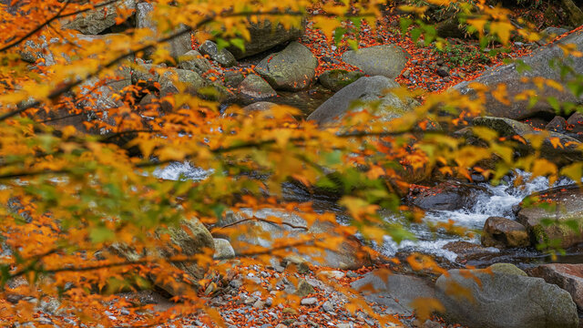 光雾山水