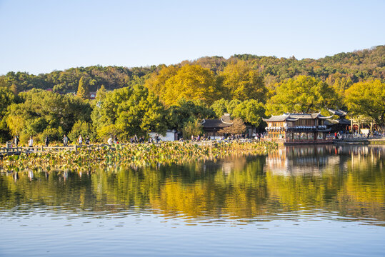 杭州曲院风荷