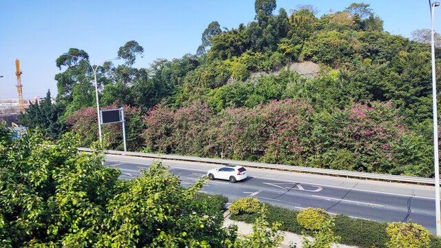 山间公路汽车