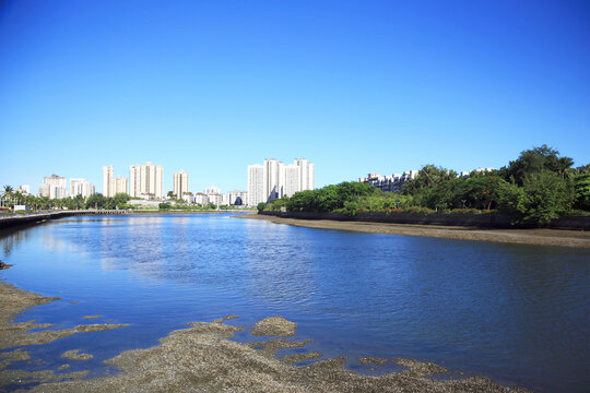 海口入海口风光