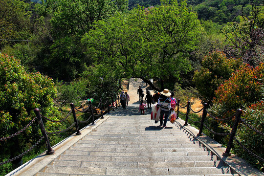 花果山登山路