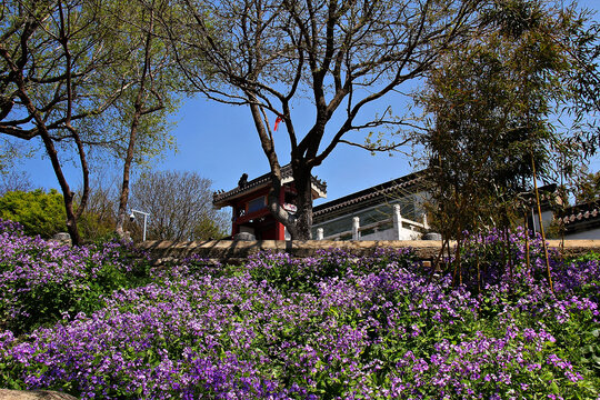 花果山登山