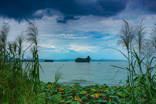 昆明滇池国家湿地鲸鱼岛