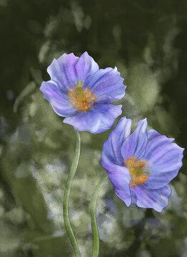 紫色插畫花