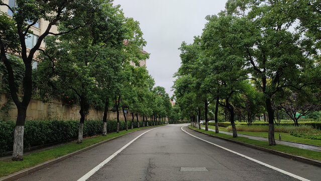 城市道路