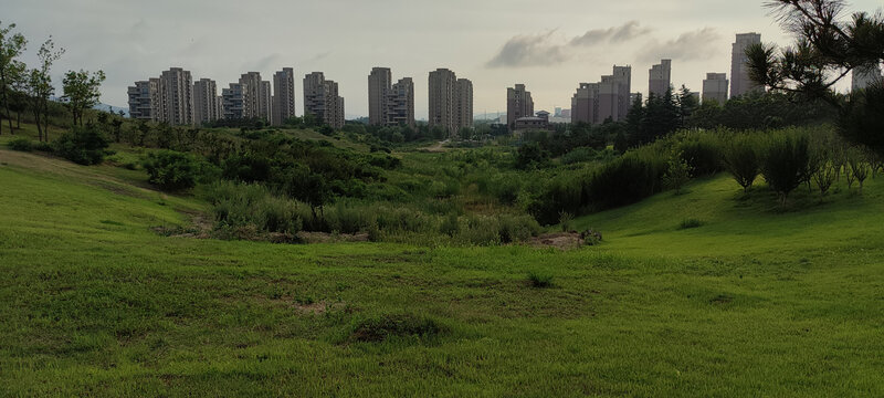 城市绿地