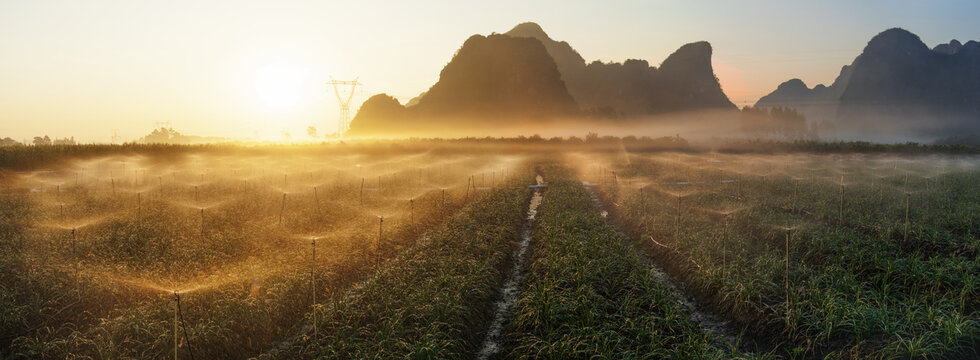 广西钟山韭菜苔基地日出全景图