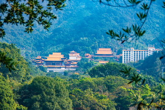 仙湖远眺