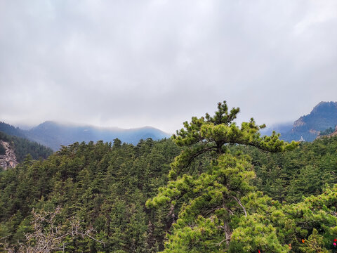 宁夏贺兰山