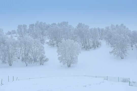 北方冬季雪景雾凇