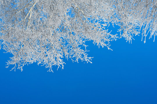 北方冬季雪景雾凇