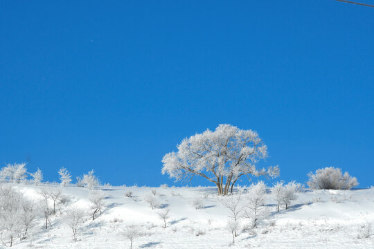 北方冬季雪景雾凇