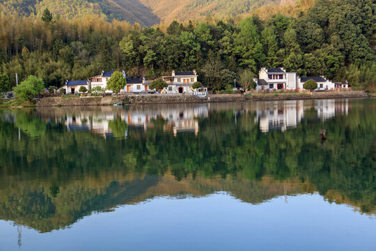 青山绿水