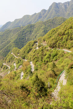 桃岭公路