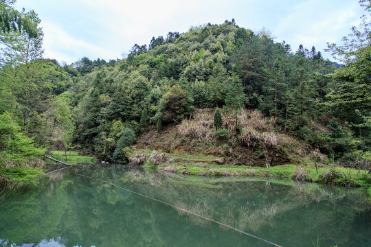 青山绿水