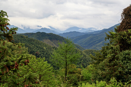 春天的皖南山区