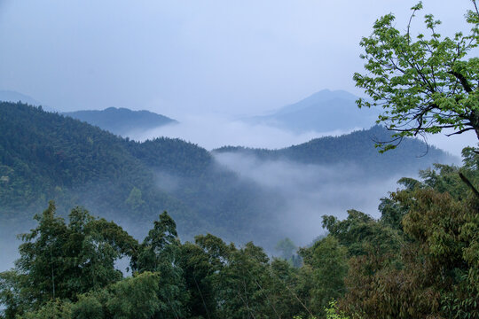 山中云雾