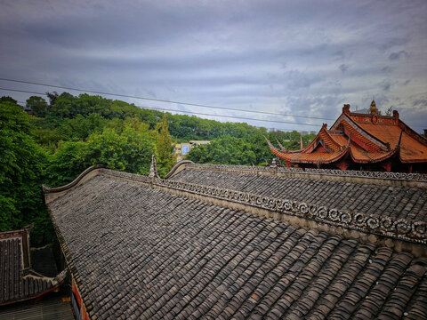 森林旁的寺院