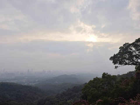 山顶日落树影