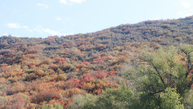 壮美河山