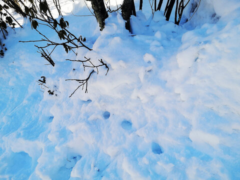 雪地