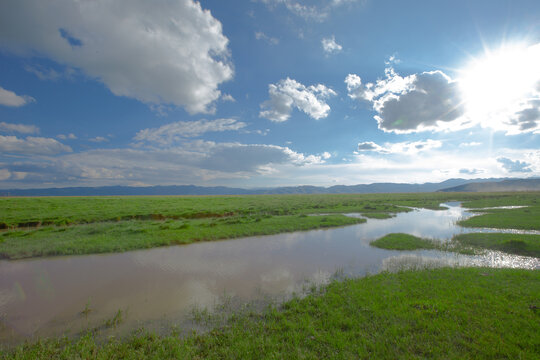 草原湿地