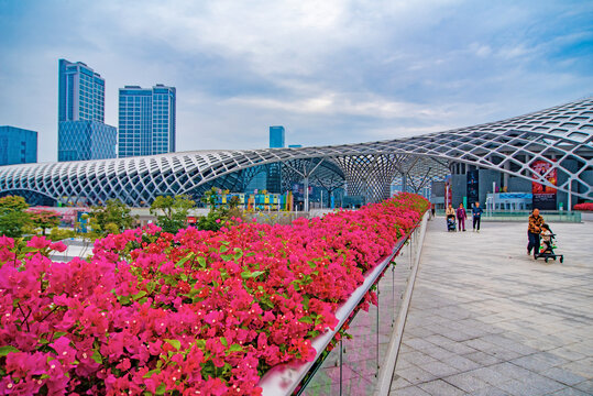 深圳湾都市生活